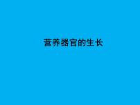 北師大版七年級(jí)上冊(cè)第2節(jié) 營(yíng)養(yǎng)器官的生長(zhǎng)課堂教學(xué)課件ppt
