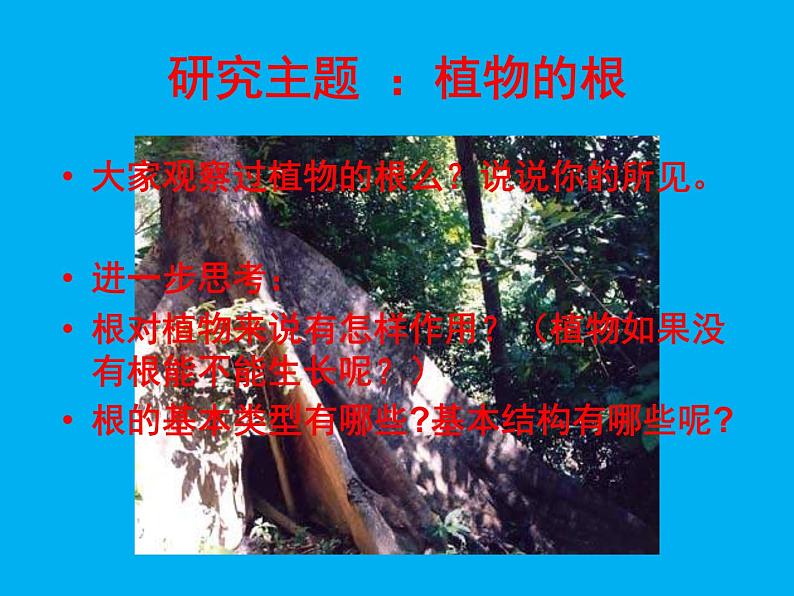 北师大版生物七年级上册 6.2 营养器官的生长_(课件)第2页