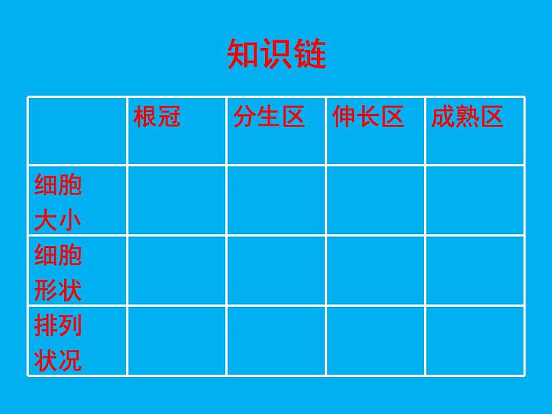 北师大版生物七年级上册 6.2 营养器官的生长_(课件)第5页