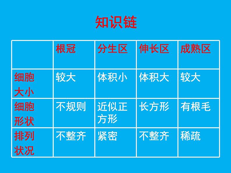 北师大版生物七年级上册 6.2 营养器官的生长_(课件)第6页