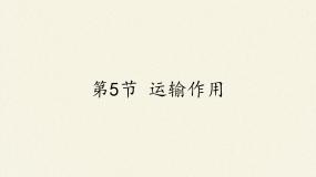 初中生物北师大版七年级上册第5节  运输作用课文内容课件ppt