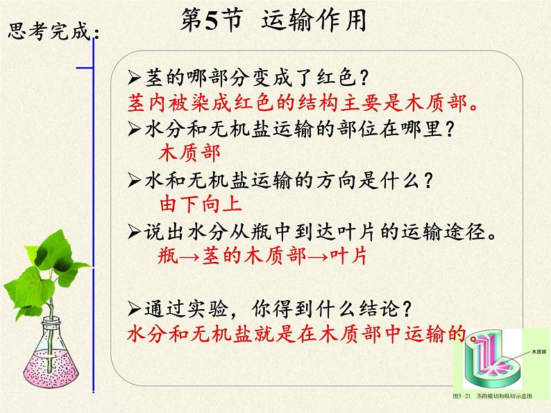 北师大版生物七年级上册 5.5 运输作用(2)(课件)第7页