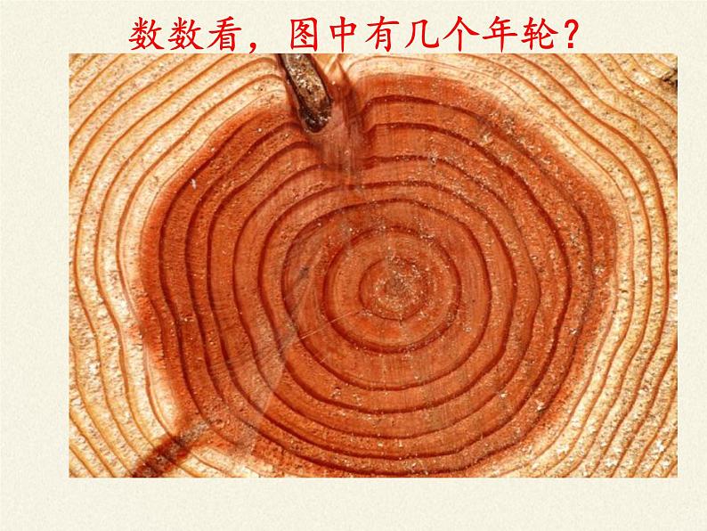 北师大版生物七年级上册 5.5 运输作用(2)(课件)第8页