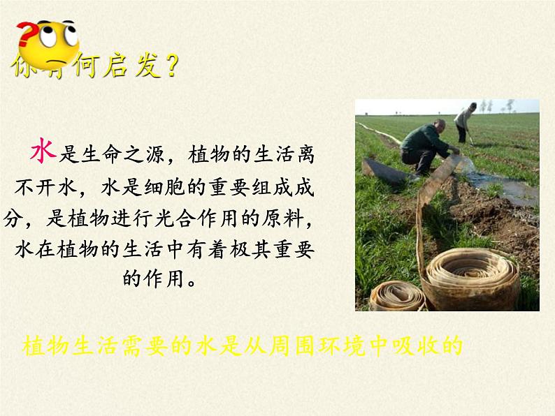 北师大版生物七年级上册 5.3 吸收作用(7)(课件)第8页