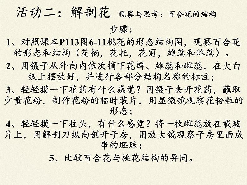 北师大版生物七年级上册 6.3 生殖器官的生长(课件)05