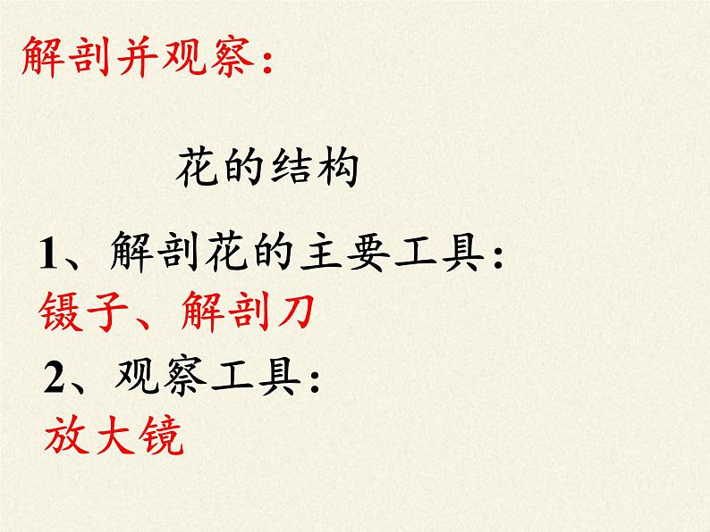 北师大版生物七年级上册 6.3 生殖器官的生长(9)(课件)第7页