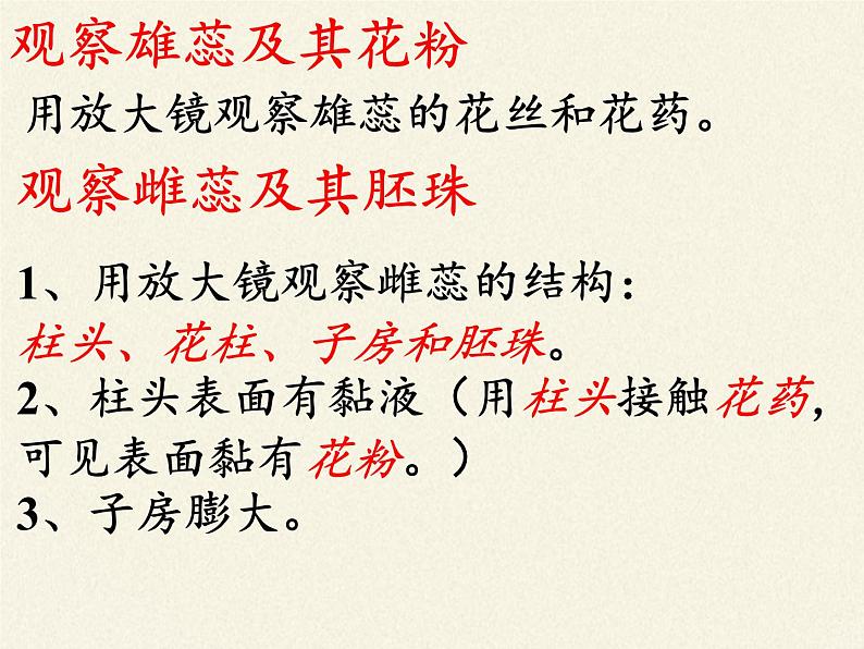 北师大版生物七年级上册 6.3 生殖器官的生长(9)(课件)第8页