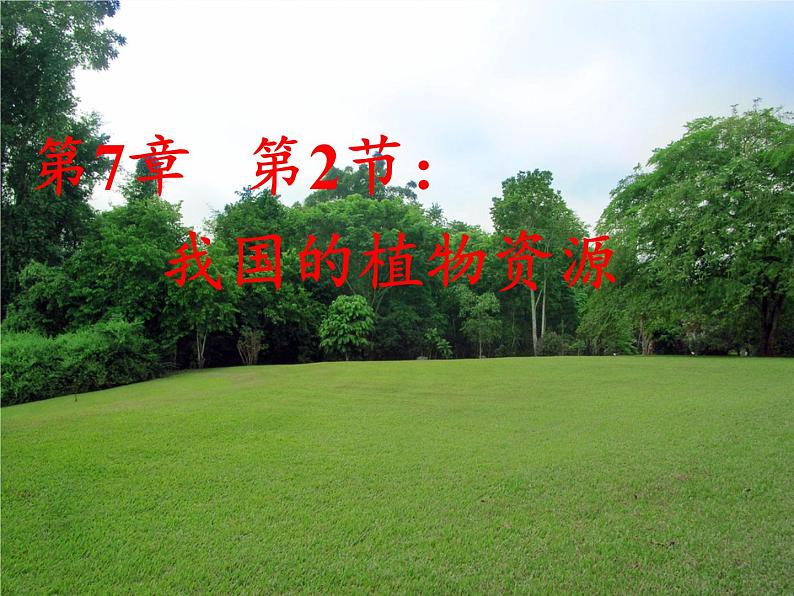 北师大版生物七年级上册 7.2 我国的植物资源(课件)02
