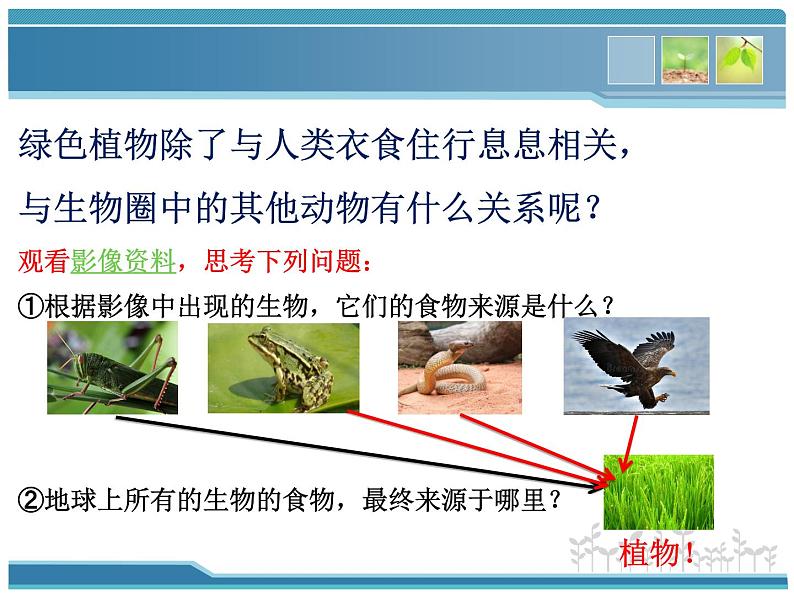 北师大版生物七年级上册 7.1 绿色植物在生物圈中的作用(课件)04