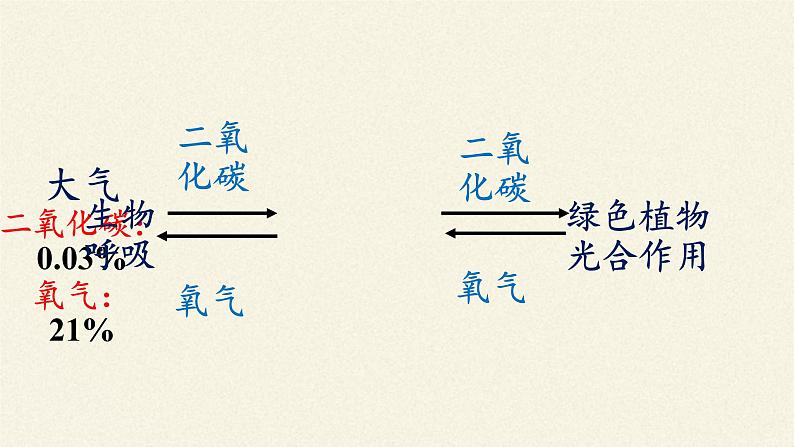 北师大版生物七年级上册 7.1 绿色植物在生物圈中的作用(3)(课件)06