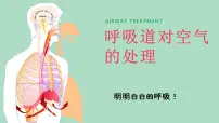初中生物人教版 (新课标)七年级下册第一节 呼吸道对空气的处理优质ppt课件
