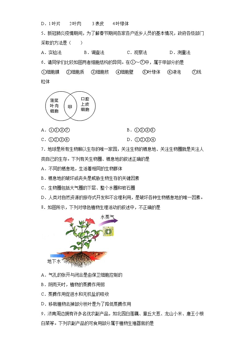 山东省济南市槐荫区2021-2022学年七年级上学期期中生物试题(word版 含答案)第2页