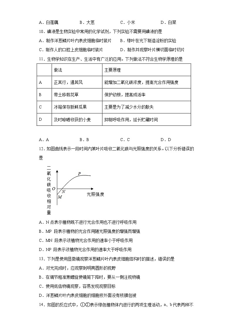 山东省济南市槐荫区2021-2022学年七年级上学期期中生物试题(word版 含答案)第3页