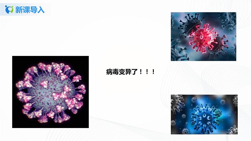 7.2.5《生物的變異》課件第3頁(yè)