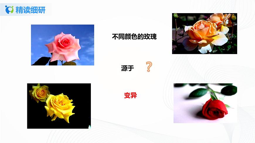 7.2.5《生物的變異》課件第7頁(yè)