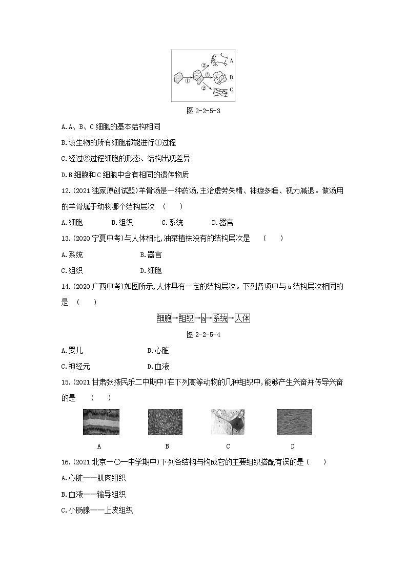 第二单元第二章检测卷第3页