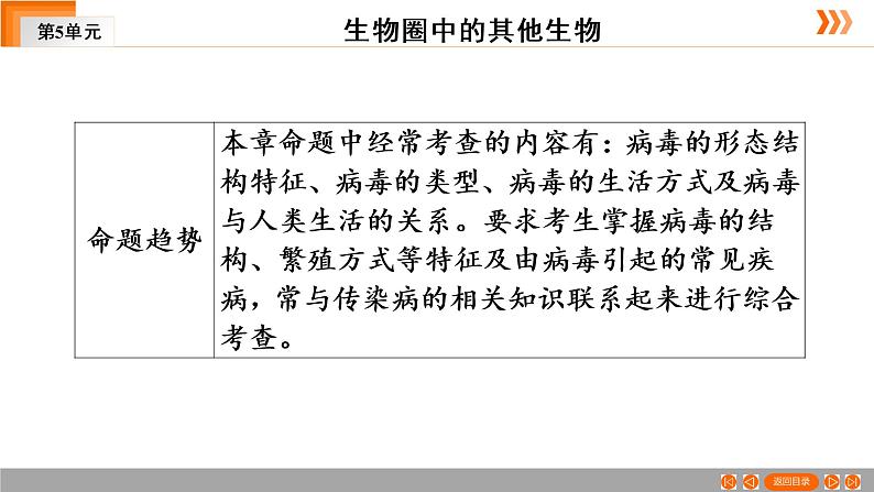 2021年中考广东专用生物一轮知识点复习第5单元 第20章 病毒 课件第4页