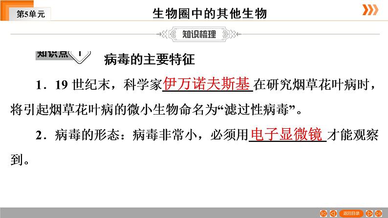 2021年中考广东专用生物一轮知识点复习第5单元 第20章 病毒 课件第5页