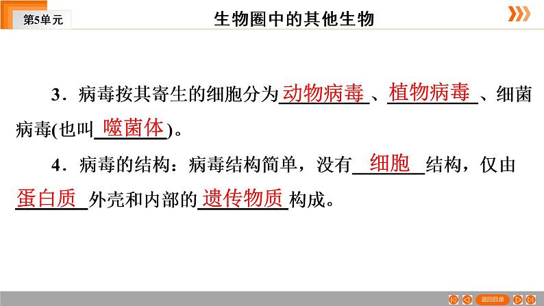 2021年中考广东专用生物一轮知识点复习第5单元 第20章 病毒 课件第6页