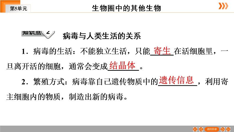 2021年中考广东专用生物一轮知识点复习第5单元 第20章 病毒 课件第7页