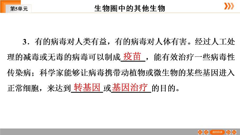 2021年中考广东专用生物一轮知识点复习第5单元 第20章 病毒 课件第8页