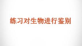 练习对生物进行鉴别PPT课件免费下载
