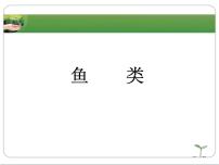 冀教版七年级上册第一单元  我们身边的生命世界第四章 多种多样的动物第六节  鱼类课前预习课件ppt