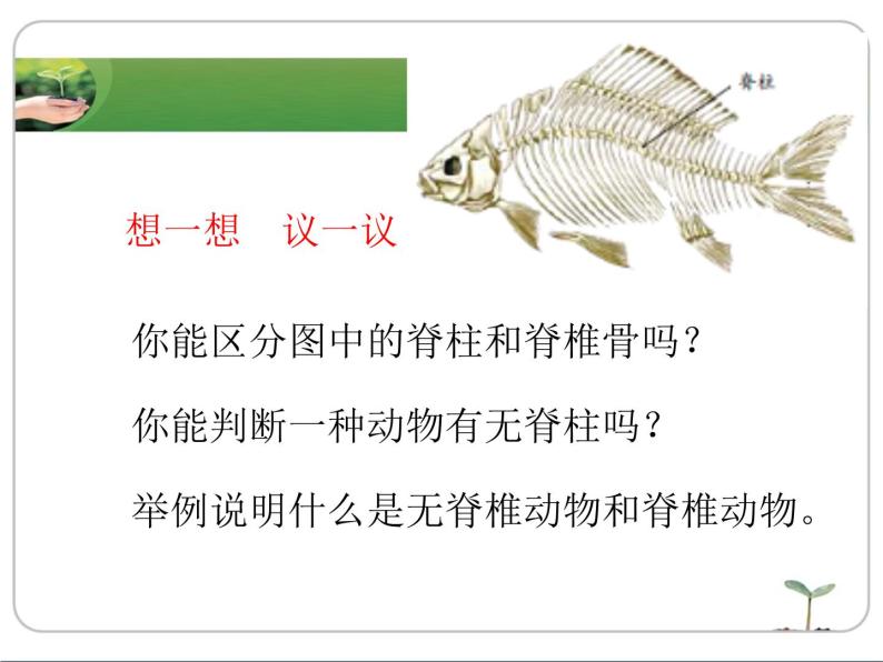 冀教版七年级上册 生物 课件 1.4.6鱼类02