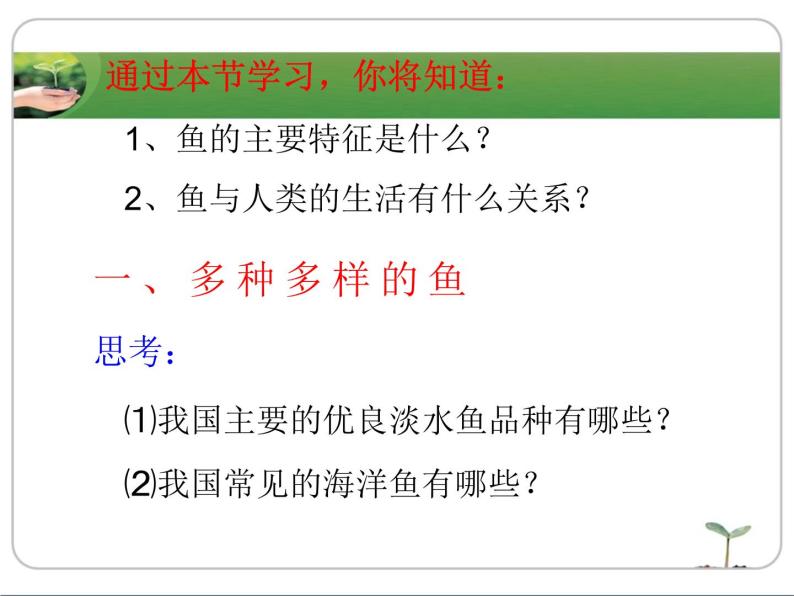 冀教版七年级上册 生物 课件 1.4.6鱼类03