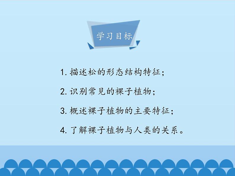 冀教版七年级上册 生物 课件 1.3.5裸子植物第4页