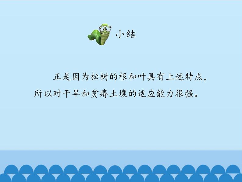 冀教版七年级上册 生物 课件 1.3.5裸子植物第7页