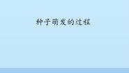 种子萌发的过程PPT课件免费下载