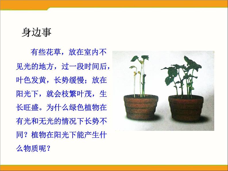 冀教版八年级上册 生物 课件 3.3.1光合作用的产物第2页