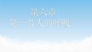 北京版七年级下册第一节 人的呼吸图片课件ppt