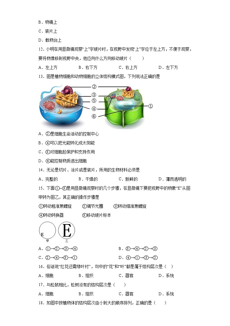 湖北省十堰市丹江口市2021-2022学年七年级上学期期中生物试题(word版 含答案)第3页