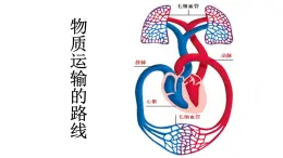 物质运输的路线PPT课件免费下载