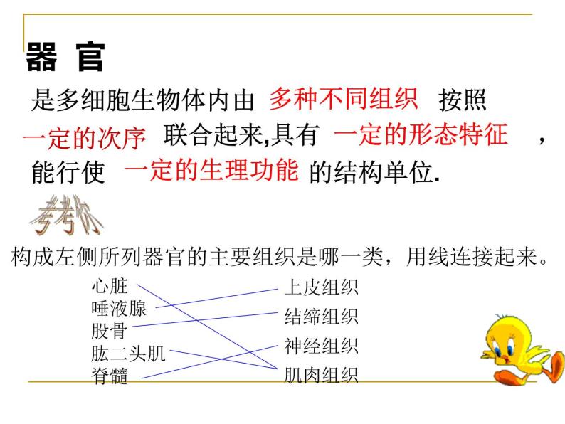 1.1.2人体是怎样构成的 课件 上海版生命科学八年级上册（20张ppt）07