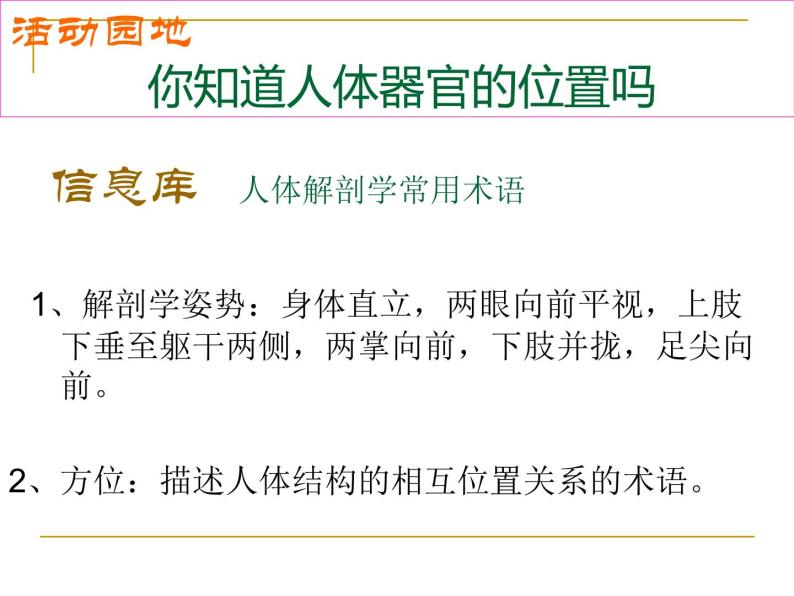 1.1.2人体是怎样构成的 课件 上海版生命科学八年级上册（20张ppt）08