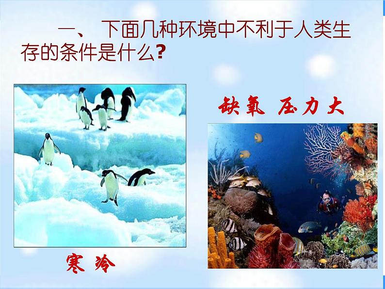 1.2.2人体生命活动需要的环境条件 课件 上海版生命科学八年级上册(23张ppt))第3页