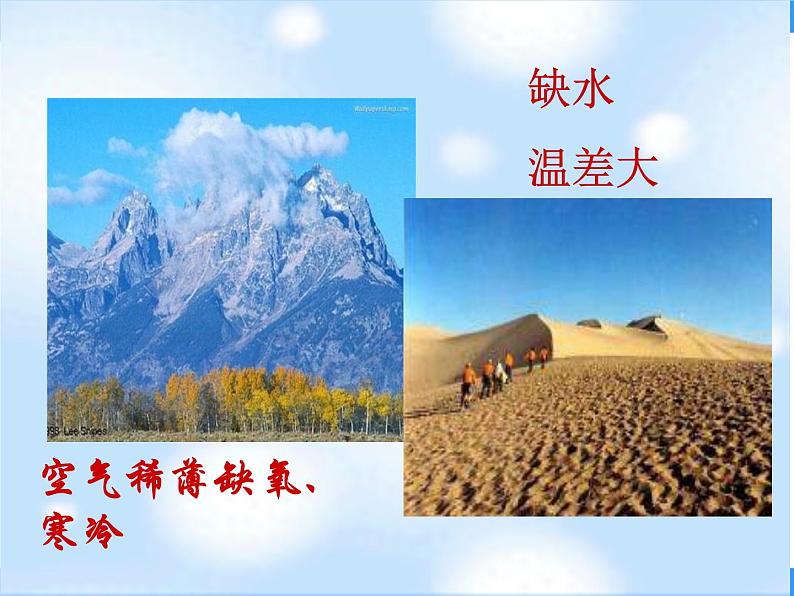 1.2.2人体生命活动需要的环境条件 课件 上海版生命科学八年级上册(23张ppt))第4页