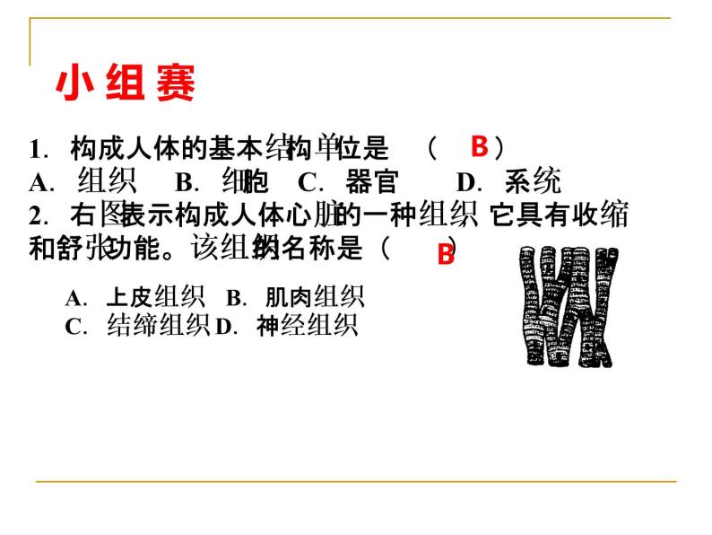 1.1.3人体是怎样构成的 课件 上海版生命科学八年级上册（24张ppt）02