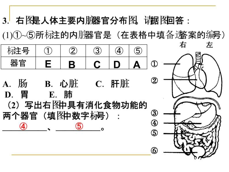 1.1.3人体是怎样构成的 课件 上海版生命科学八年级上册（24张ppt）03