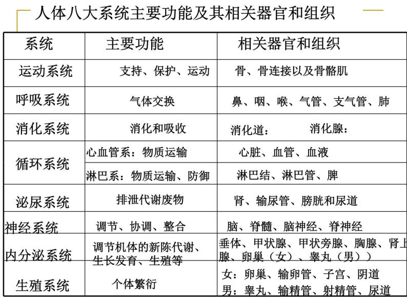 1.1.3人体是怎样构成的 课件 上海版生命科学八年级上册（24张ppt）06