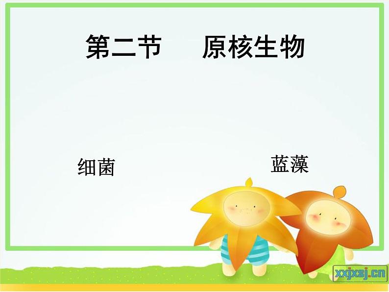 第十三章第二节《原核生物界》课件07