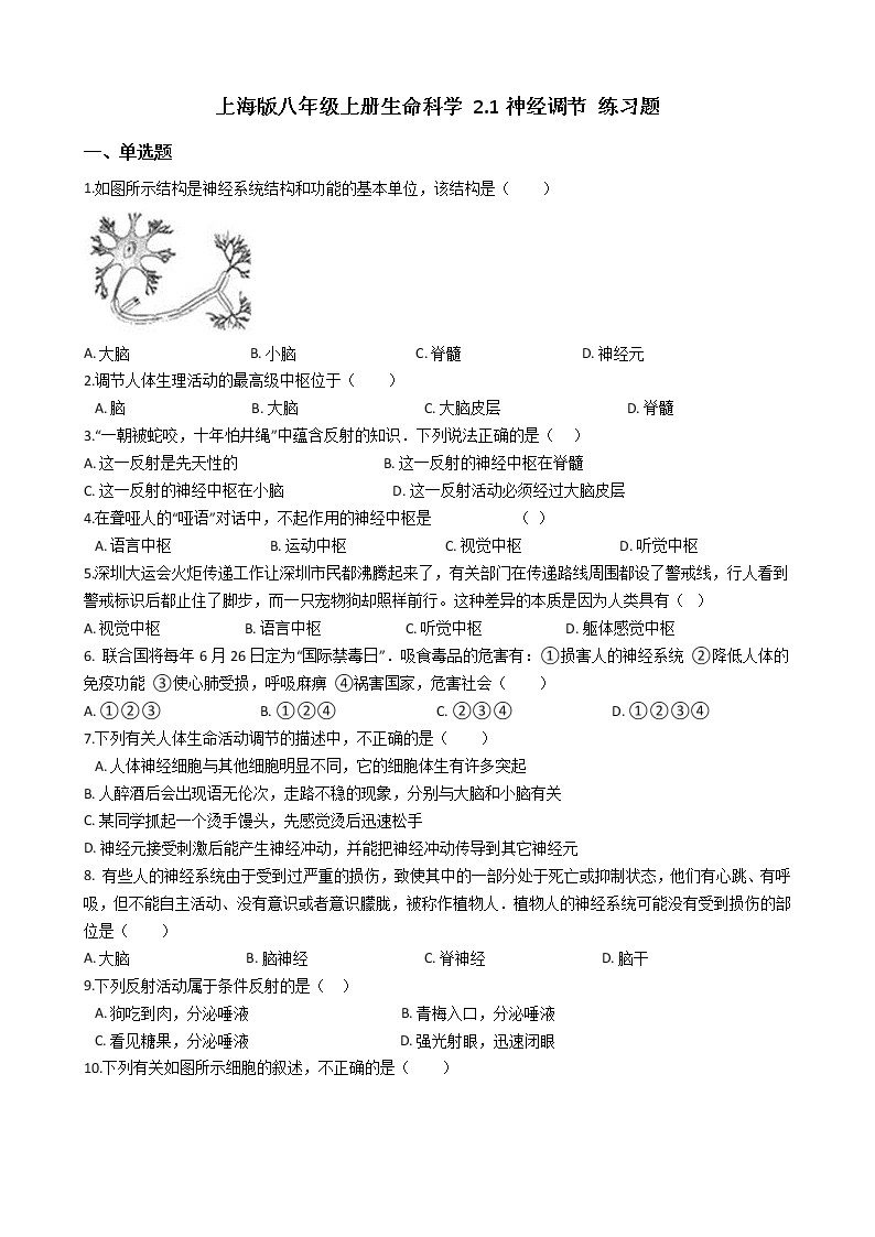 沪教版八年级上册生命科学 2.1神经调节 练习题01