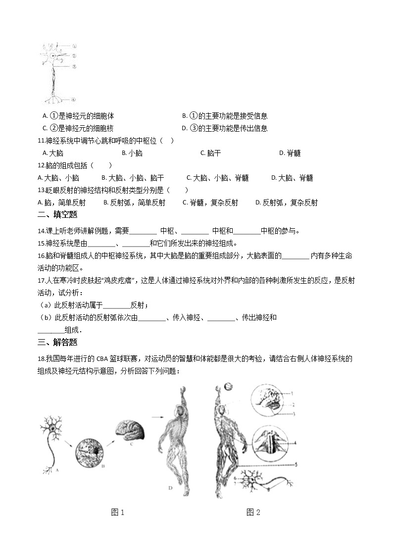沪教版八年级上册生命科学 2.1神经调节 练习题02
