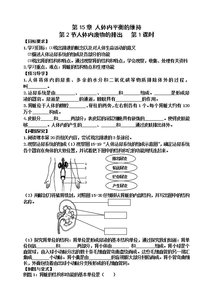 苏科版八年级生物上册导学案:15.2 人体内废物的排出01