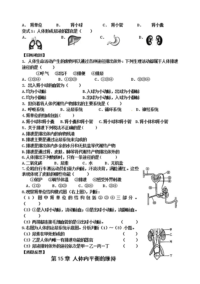 苏科版八年级生物上册导学案:15.2 人体内废物的排出02