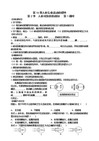 苏科版八年级上册第6单元 生命活动的调节和生态系统的稳定第16章 人体生命活动的调节2 人体对信息的感知导学案