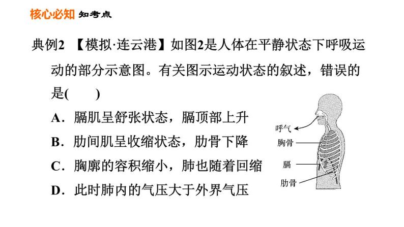 人教版七年级下册生物 第3章 第三章巩固强化复习 习题课件08